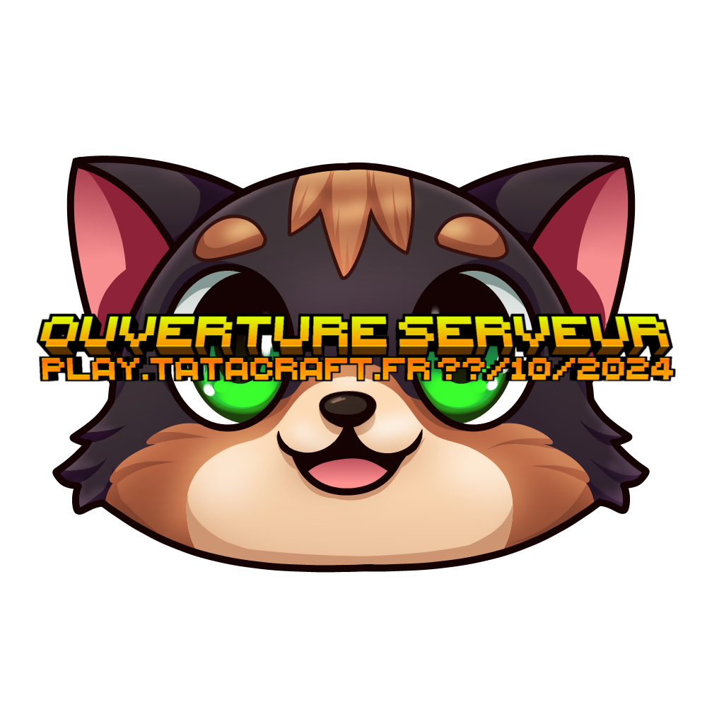 Ouverture Serveur